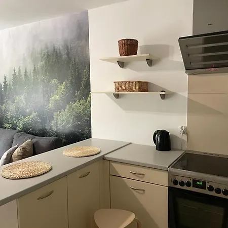 Apartamento Kasprusie 10 By Homeprime Zakopane